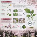 그냥 심심해서요. (46832) 에틸렌 이미지
