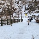 강씨봉자연휴양림 | (가평) 강씨봉자연휴양림 겨울 1박2일 후기 | 설경 + 얼음썰매 + 짚라인 ( 두 번째 방문!)