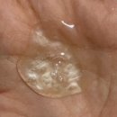 펫트리 | [고양이 강아지샴푸추천] 토일러펫트리 올인원 사용후기 🐾