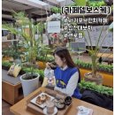 서귀포카페 돈내코근처 크로플 카페델보스케 후기