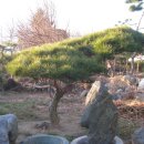 지리산농장 이미지