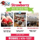 현진농장 이미지