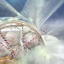 순이 | 부천과일찹쌀떡 포장 후기 순이케이크 딸기모찌 맛집 추천