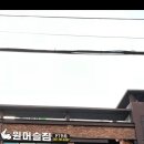 원머슬짐 이미지