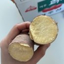 올해마지막! 카스테라 꿀 고구마 open