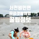 서천반점 | 서천 선도리 무료 갯벌체험장 동죽 해감 꿀팁 근교맛집 월명반점