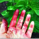 동진농장 이미지