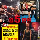 익사이팅 펀치 짐 이미지