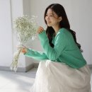 폭스 이미지