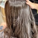 도곡초등학교 | [다니에르 리뷰] 대치동미용실 헤어더뷰 한티역점 강지호 실장 클리닉 후기