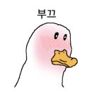 hey day 이미지