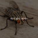 방역하는 친구들 대전충청지사
