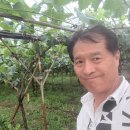 2026.6.10 질산칼슘.모스피란. 이미지