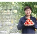 토마토마 이미지