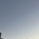 삼주농장 | 블챌 삼주차 시자~ㄱ