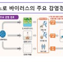 노로바이러스 증상 원인 음식 치료 잠복기 이미지