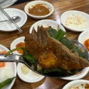 통정흑염소 이미지