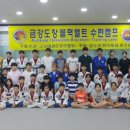 용인대 금강 태권도장 네이버블로그