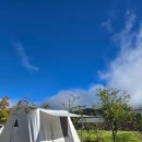 GS25 홍천남면점 | 홍천 세이지힐 잔디광장 실내놀이터 키즈카페 강원도 뷰 좋은 키즈 캠핑장 추천