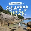 갯배스테이 | 아이랑 속초여행 1박2일 1일차 코스 추천