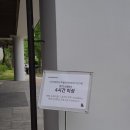 티오컬랙션 이미지