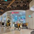 이마트24 양천오목로점 | [다이소] 목동 이마트 다이소 방문 리얼 후기