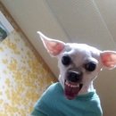 이마트24 대전가오점 | 그리고갑차기스러운데10월취소해도돼?