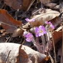 설월리약수터 이미지