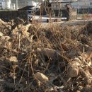 객주문학관 이미지