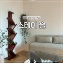 스테이솔(STAY SOL)