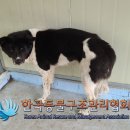 까치산로4길 이미지