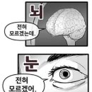 부광에코 이미지