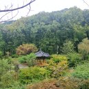 지우통상