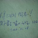 낭만고양이 이미지