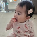 아기 머리핀 [베베루] 헤어핀 착용후기