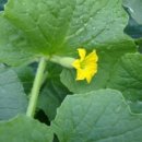 관문농장 이미지