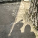 혜연상회 이미지