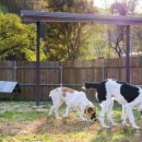 서울대공원 이미지