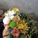 둥지(네스트) 이미지