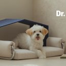 프랜드 펫 이미지