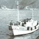 바다의별 이미지