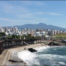 예래개발 이미지