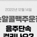 구구포차