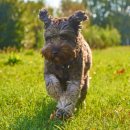 태동농장 이미지