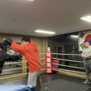 상록복싱체육관 이미지