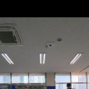 일비태권도장 이미지