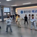 용인대 매교태권도장 이미지
