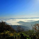 익산 천호산~구름바다에 미륵산이 두둥실... 이미지