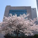 군장대학교 | [토플 시험장] 강남 군장대학교 시험장 알아보기 (feat. 시험장 사진, 후기 요약)