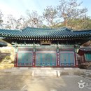 [서울 은평구] 북한산둘레캠핑장